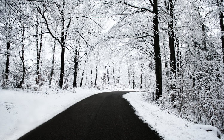 дорога, деревья, снег, зима, иней, road, trees, snow, winter, frost