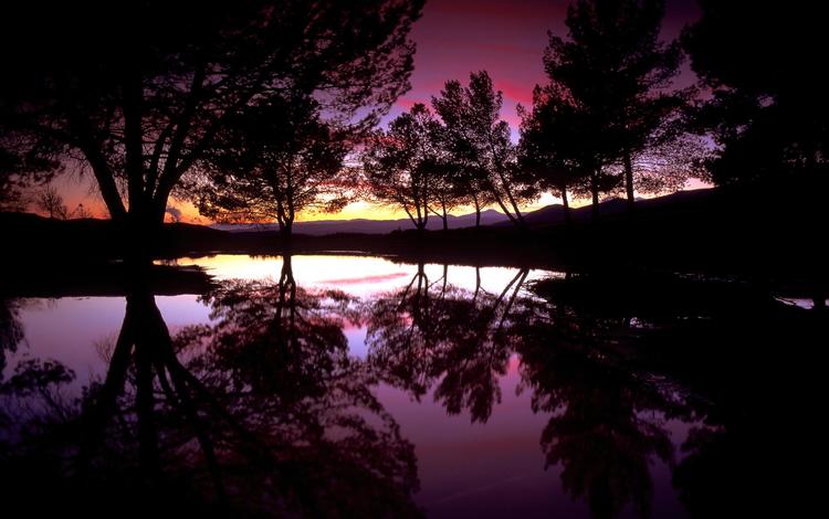 деревья, вечер, озеро, закат, отражение, trees, the evening, lake, sunset, reflection