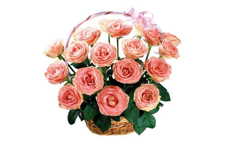 цветы, розы, букет, корзинка, flowers, roses, bouquet, basket