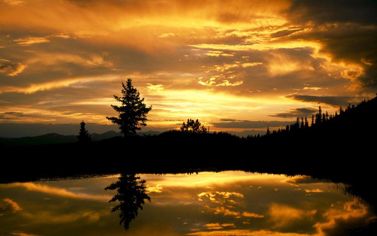 небо, вечер, озеро, лес, закат, отражение, ель, the sky, the evening, lake, forest, sunset, reflection, spruce
