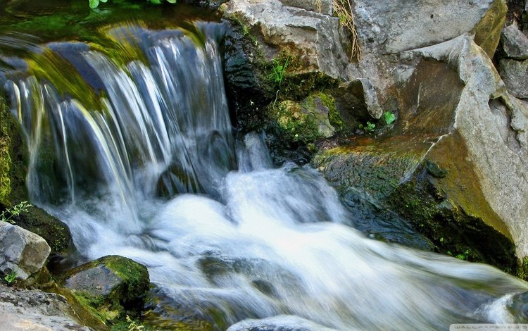 река, камни, ручей, водопад, поток, мох, течение, river, stones, stream, waterfall, moss, for