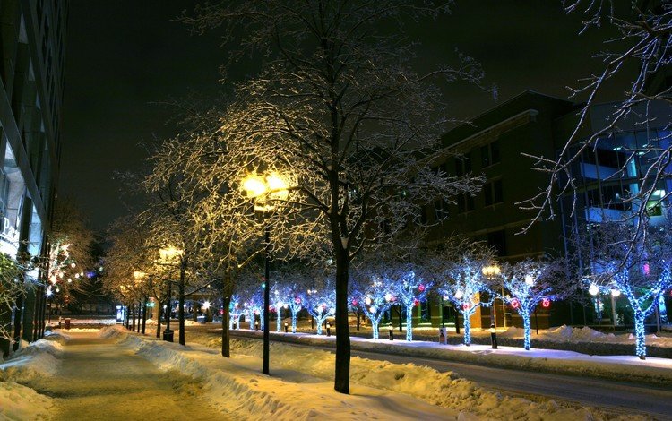 деревья, фонари, огни, снег, зима, город, trees, lights, snow, winter, the city