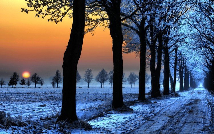 дорога, сумерки, деревья, снег, природа, закат, зима, мороз, следы, road, twilight, trees, snow, nature, sunset, winter, frost, traces