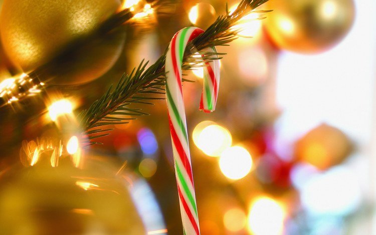 огни, леденец, новый год, елка, украшения, фон, праздник, рождество, гирлянда, lights, lollipop, new year, tree, decoration, background, holiday, christmas, garland