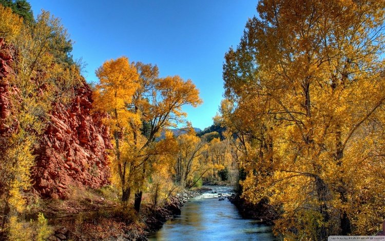 небо, деревья, река, природа, осень, желтые листья, the sky, trees, river, nature, autumn, yellow leaves