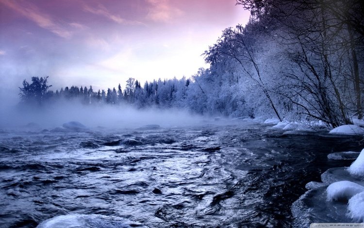 река, снег, лес, зима, туман, river, snow, forest, winter, fog