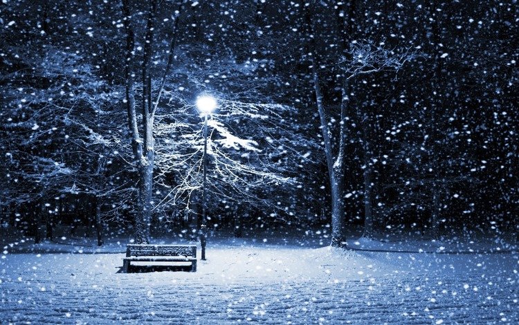 лавочка, свет, деревья, вечер, снег, зима, ветки, иней, фонарь, shop, light, trees, the evening, snow, winter, branches, frost, lantern