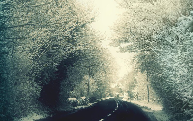 дорога, деревья, снег, зима, ветки, мороз, иней, road, trees, snow, winter, branches, frost