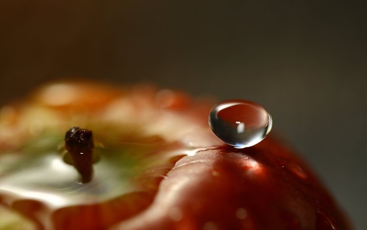 вода, капля, фрукты, яблоко, крупным планом, water, drop, fruit, apple, closeup