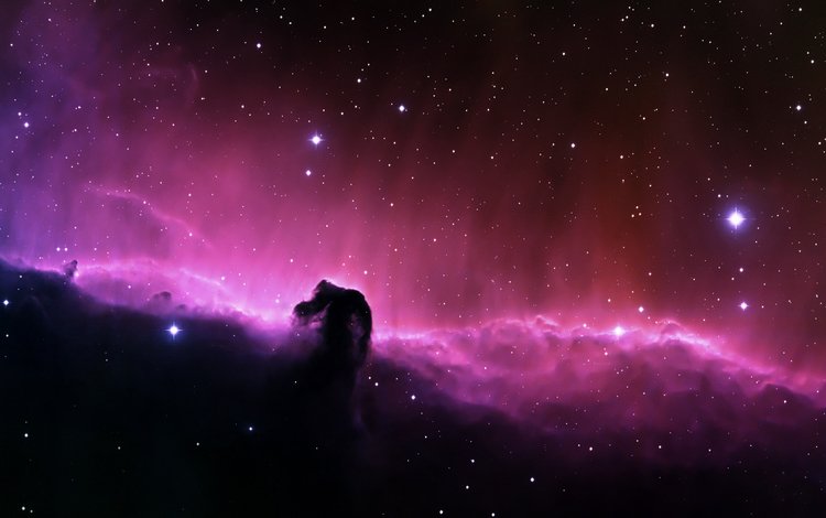 космос, звезды, галактика, туманность конская голова, space, stars, galaxy, nebula horse head