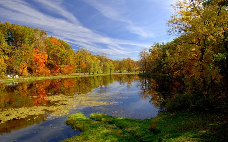 природа, парк, осень, пруд, nature, park, autumn, pond