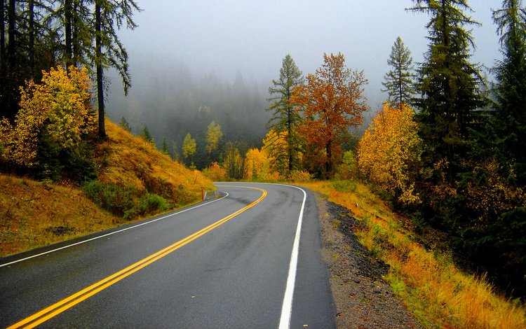 природа, золотистое, туман, пейзажи, осень, дороги, поворот, желтое, шоссе, nature, golden, fog, landscapes, autumn, road, turn, yellow, highway