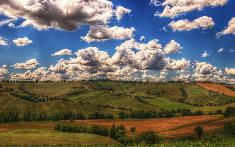 небо, трава, облака, поле, the sky, grass, clouds, field