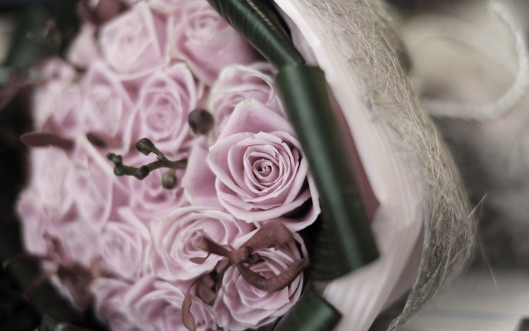 цветы, розы, букет, свадебный букет, flowers, roses, bouquet, wedding bouquet
