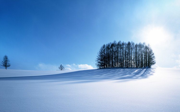 небо, дорога, деревья, горы, солнце, снег, зима, the sky, road, trees, mountains, the sun, snow, winter
