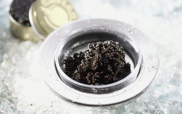черная, икра, black, caviar