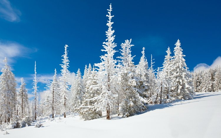 небо, снег, природа, зима, the sky, snow, nature, winter