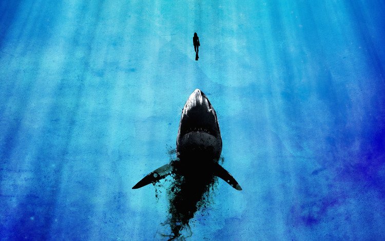 вода, синий, человек, черный, океан, опасность, акула, water, blue, people, black, the ocean, danger, shark