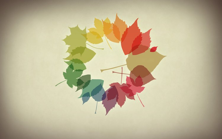 обои, листья, осень, минимализм, осенние обои, wallpaper, leaves, autumn, minimalism, autumn wallpaper