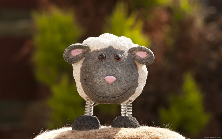 фото, улыбка, игрушка, овечка, photo, smile, toy, sheep