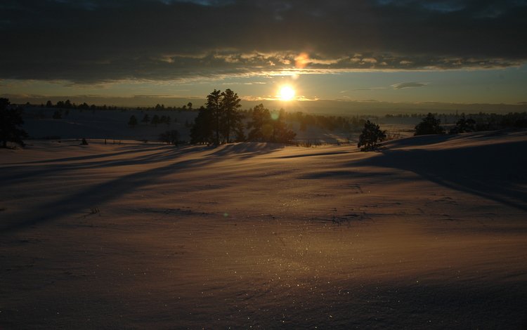 солнце, снег, зима, фото, пейзажи, the sun, snow, winter, photo, landscapes