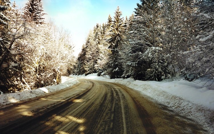 дорога, деревья, снег, зима, елки, road, trees, snow, winter, tree