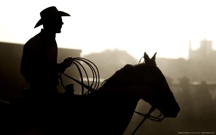 лошадь, силуэт, конь, шляпа, ковбой, лассо, horse, silhouette, hat, cowboy, lasso