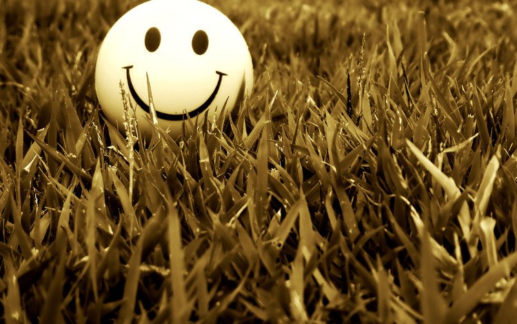 трава, настроение, улыбка, смайл, grass, mood, smile