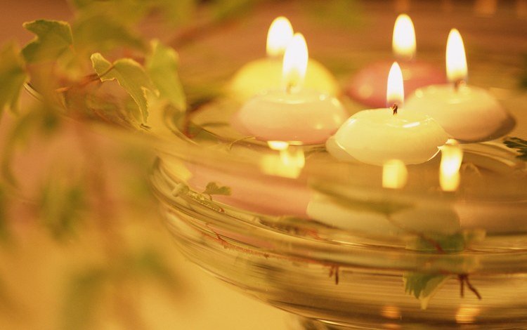 свет, вода, свечи, романтика, растение, тепло, light, water, candles, romance, plant, heat