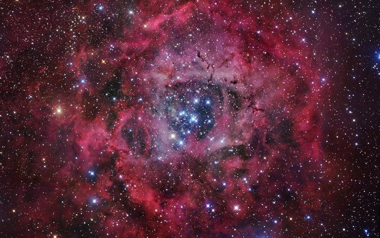 звезды, туманность, rosette nebula, stars, nebula