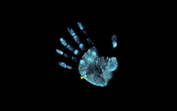 рука, пальцы, рентген, лис, грань, за гранью, бахрома, hand, fingers, x-ray, fox, face, beyond, fringe