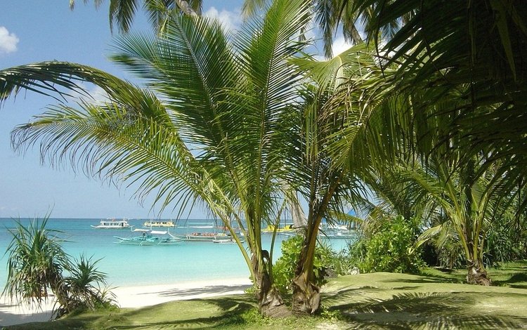 море, песок, пляж, лодки, пальмы, тропики, sea, sand, beach, boats, palm trees, tropics