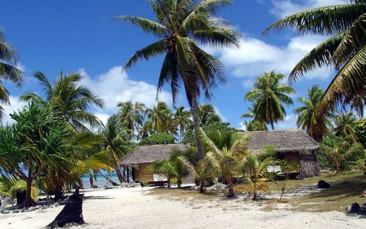 солнце, пляж, пальмы, бунгало, французская полинезия, the sun, beach, palm trees, bungalow, french polynesia