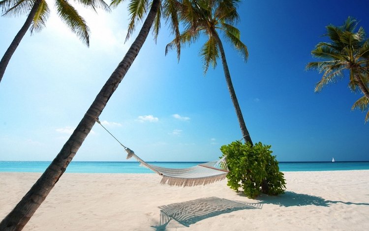 пляж, пальмы, океан, гамак, тропики, beach, palm trees, the ocean, hammock, tropics