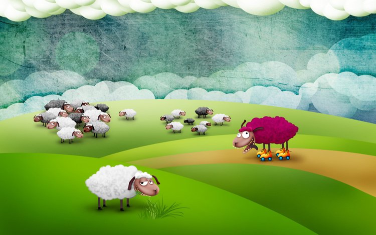 поле, овцы, сумашедшая овца, field, sheep, mad sheep