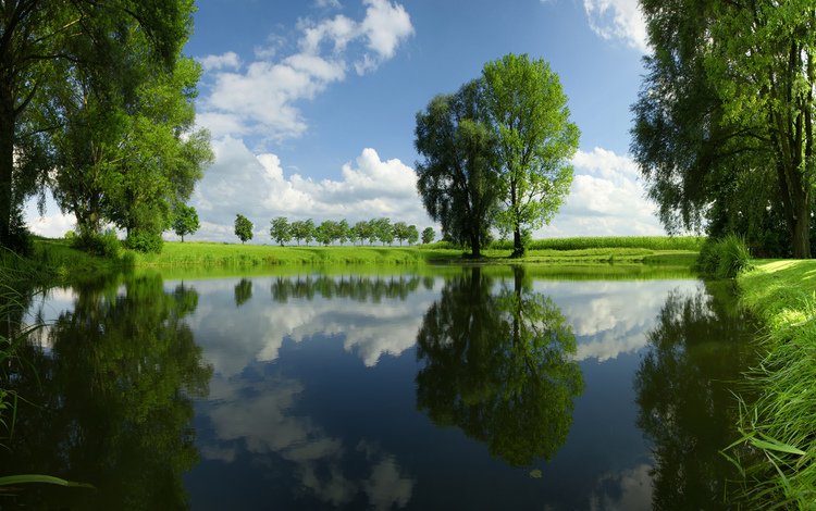 небо, трава, облака, деревья, река, природа, отражение, пейзаж, the sky, grass, clouds, trees, river, nature, reflection, landscape