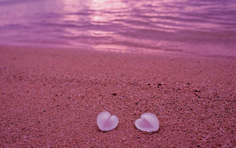 берег, песок, пляж, сердце, ракушки, любовь, розовый, shore, sand, beach, heart, shell, love, pink