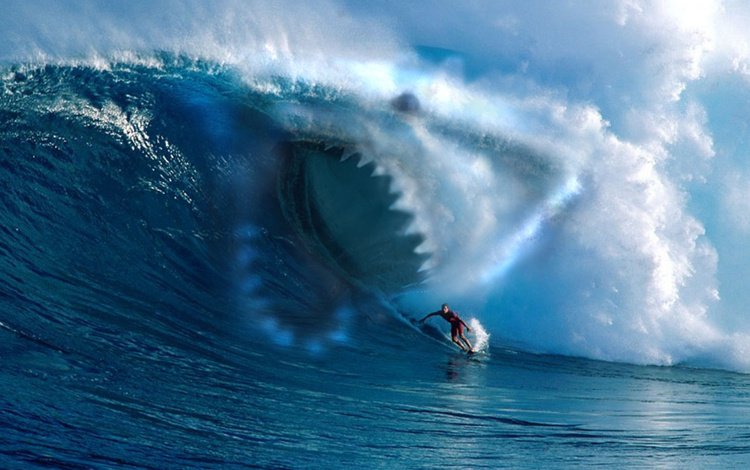 море, волна, зубы, спорт, серфинг, акула, гавайи, sea, wave, teeth, sport, surfing, shark, hawaii