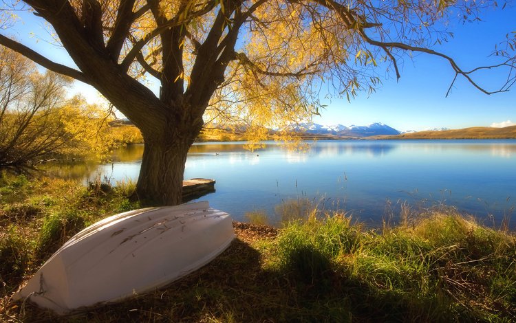 озеро, дерево, осень, лодка, lake, tree, autumn, boat