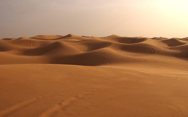 песок, пустыня, дюны, сахара, sand, desert, dunes, sugar
