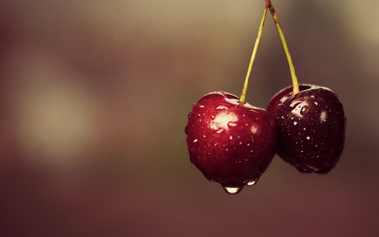 ягода, еда, черешня, вишня, две, капли воды, berry, food, cherry, two, water drops