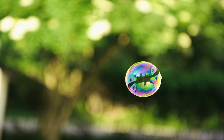 зелень, отражение, мыльные пузыри, greens, reflection, bubbles