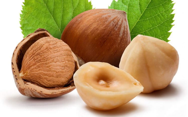 орехи, фундук, скорлупа, nuts, hazelnuts, shell