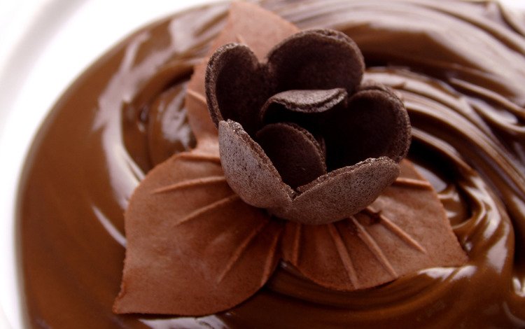 шоколад, сладкое, шоколадный цветок, chocolate, sweet, chocolate flower