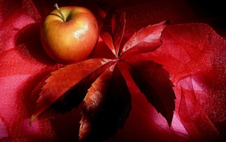 красный, лист, фрукт, яблоко, краcный, натюрморт, эппл, red, sheet, fruit, apple, still life
