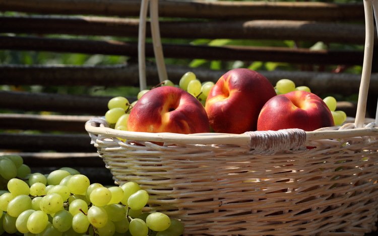 виноград, фрукты, забор, корзина, нектарин, grapes, fruit, the fence, basket, nectarine