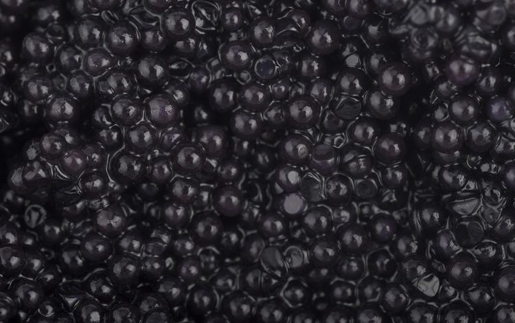 черная, икра, зернистая, black, caviar, granular