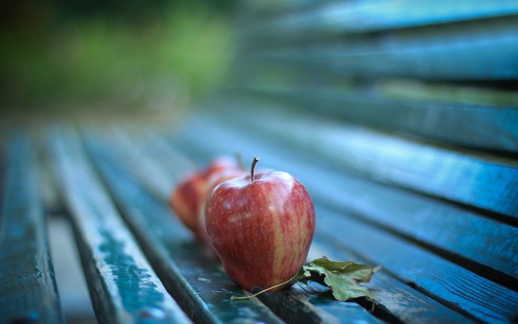 макро, яблоки, осень, лист, лавка, macro, apples, autumn, sheet, shop