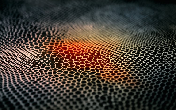 текстура, сетка, ячейки, texture, mesh, cell