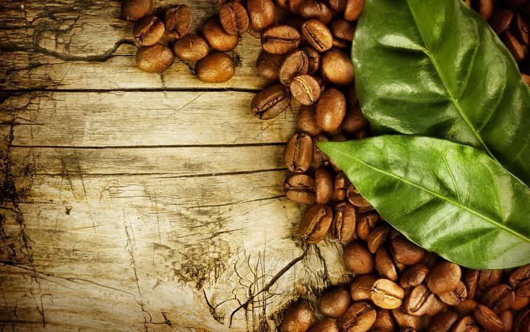 дерево, листья, зерна, кофе, кофейные зерна, деревянная поверхность, tree, leaves, grain, coffee, coffee beans, wooden surface